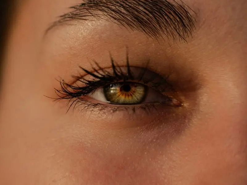 Close-up of an eye with defined lashes and brows